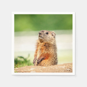 Young Groundhog Serviette