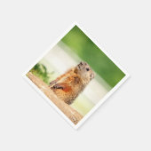 Young Groundhog Serviette (Ecke)