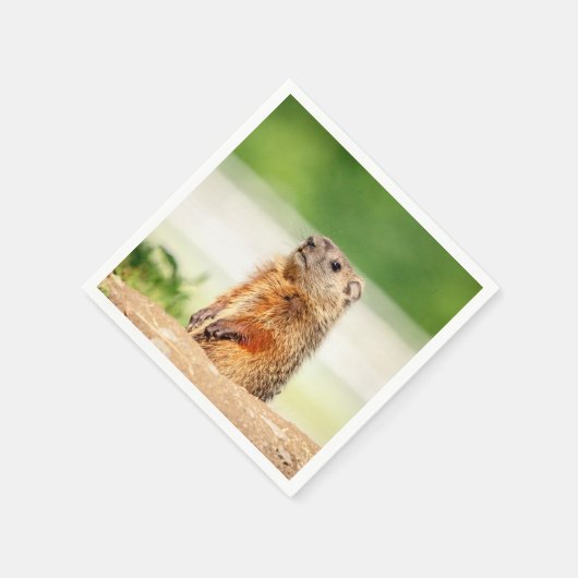 Young Groundhog Serviette (Ecke)