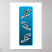 Young Grouper - Designgradientenblau | Poster (Vorne)
