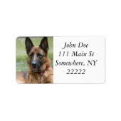 Young GSD Adressaufkleber (Vorne)