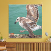 Young Gull Leinwanddruck (Insitu (Wohnzimmer))