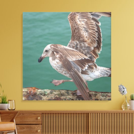 Young Gull Leinwanddruck (Insitu (Wohnzimmer))