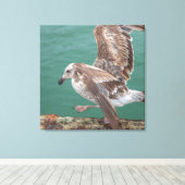 Young Gull Leinwanddruck (Insitu (Holzboden))