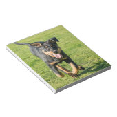 Young happy Beauceron sheepdog running in the gras Notizblock (angewinkelt)