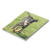 Young happy Beauceron sheepdog running in the gras Notizblock (Rotiert)