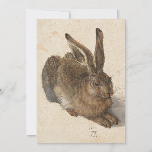 Young Hare | Albrecht Dürer (Vorderseite)