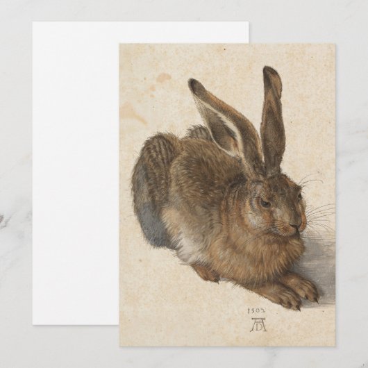 Young Hare | Albrecht Dürer (Vorne/Hinten)