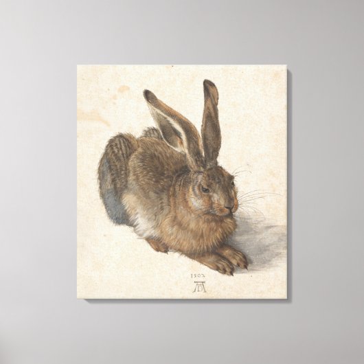 Young Hare Albrecht Durer Leinwanddruck (Vorderseite)