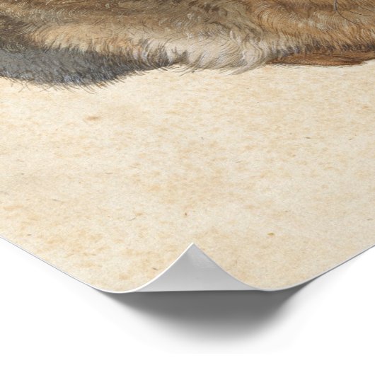 Young Hare | Albrecht Dürer Poster (Ecke)