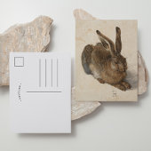 Young Hare | Albrecht Dürer Postkarte