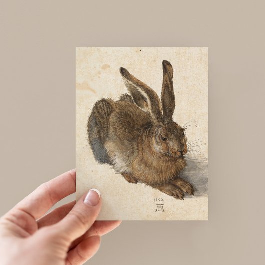 Young Hare | Albrecht Dürer Postkarte