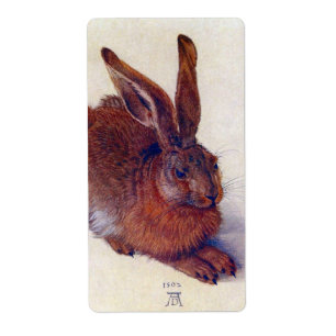 Young Hare by Albrecht Durer, Renaissance Fine Art