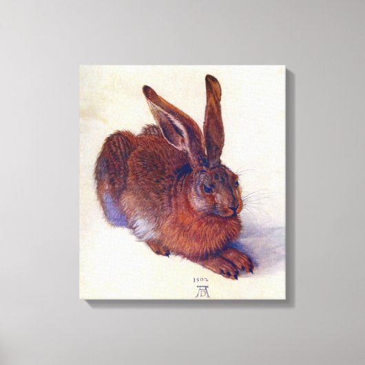 Young Hare by Albrecht Durer, Renaissance Fine Art Leinwanddruck (Vorderseite)