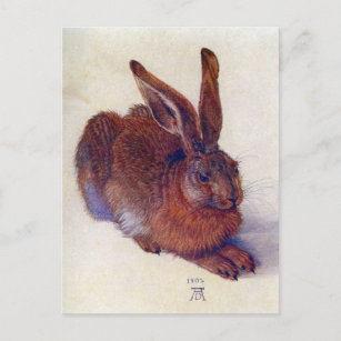 Young Hare by Albrecht Durer, Renaissance Fine Art Postkarte