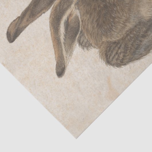 Young Hare by Albrecht Durer, Renaissance Fine Art Seidenpapier (Ausschnitt)