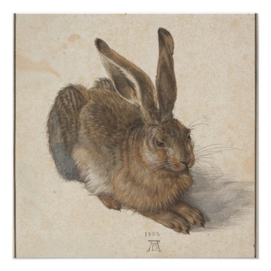 Young Hare (Durer 1502) Poster (Vorderseite)