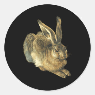 Young Hare Feldhase By Albrecht Durer Runder Aufkleber