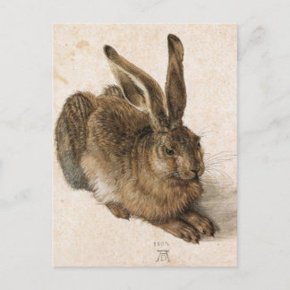 'Young Hare' Postkarte