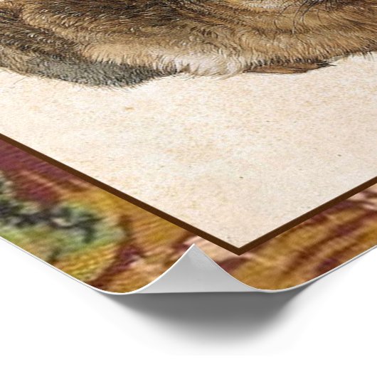 Young Hare Print Poster (Ecke)