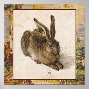 Young Hare Print Poster