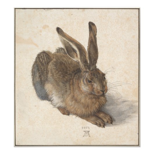 Young Hare von Albrecht Durer Fotodruck (Vorne)
