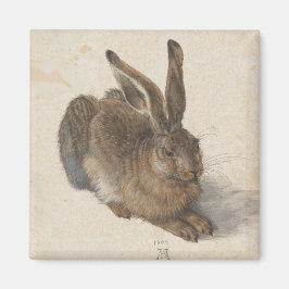 Young Hare von Albrecht Durer Magnet