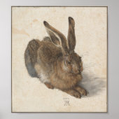 Young Hare von Albrecht Durer Poster (Vorne)