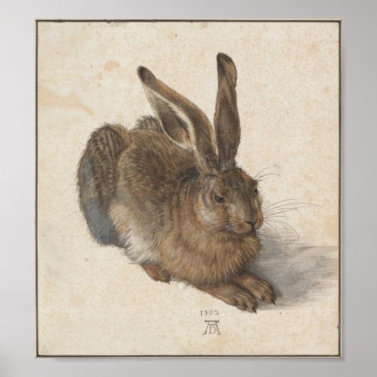 Young Hare von Albrecht Durer Poster (Vorne)