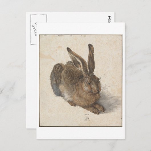 Young Hare von Albrecht Durer Postkarte (Vorne/Hinten)