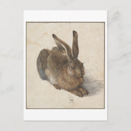 Young Hare von Albrecht Durer Postkarte