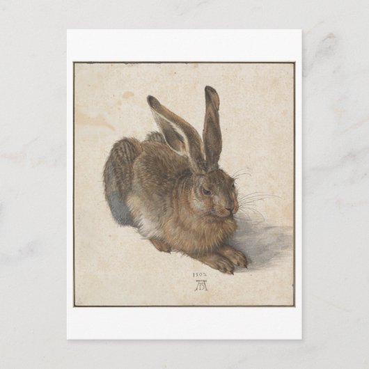 Young Hare von Albrecht Durer Postkarte (Vorderseite)