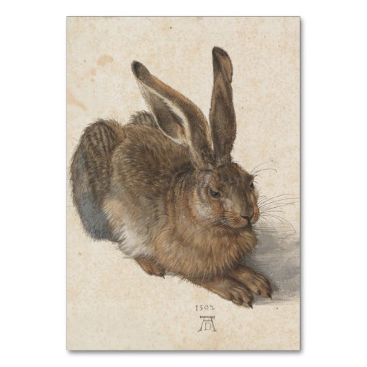 Young Hare von Albrecht Durer Tischnummer (Vorderseite)