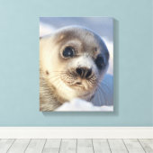 Young Harp Siegel Leinwanddruck (Insitu (Holzboden))