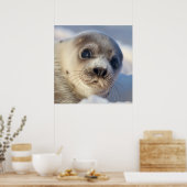 Young Harp Siegel Poster (Küche)