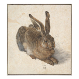 Young Hase von Albrecht Durer Fotodruck