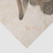 Young Hase von Albrecht Durer Seidenpapier (Detail)