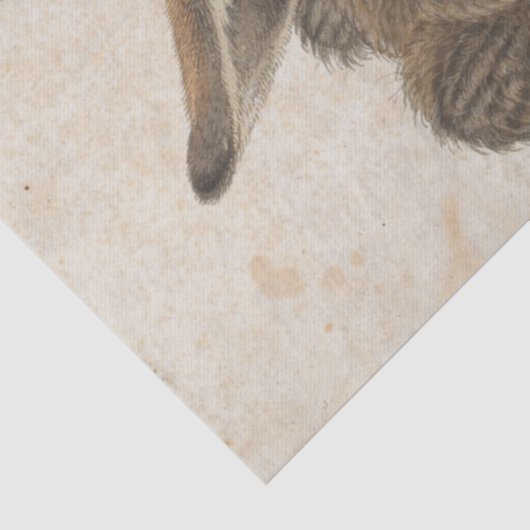 Young Hase von Albrecht Durer Seidenpapier (Detail)