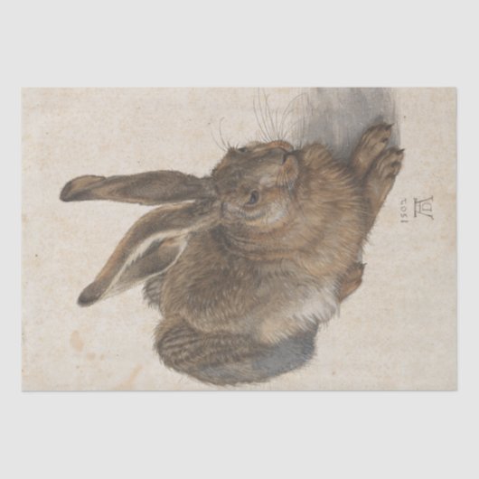 Young Hase von Albrecht Durer Seidenpapier (Vorderseite)