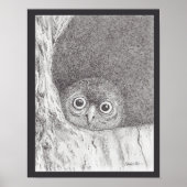 Young Hawk Owl Print Poster (Vorne)
