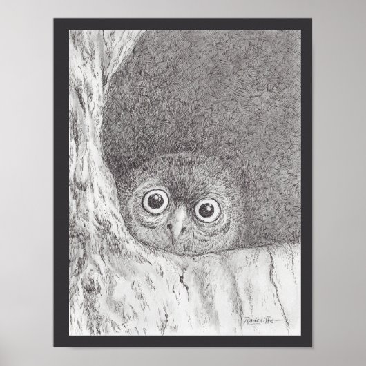 Young Hawk Owl Print Poster (Vorne)