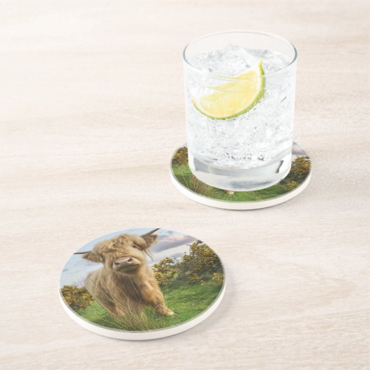 Young Highland Cow Getränkeuntersetzer (Seite)