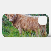 Young Highland Cow iPad Case (Rückseite (Horizontal))
