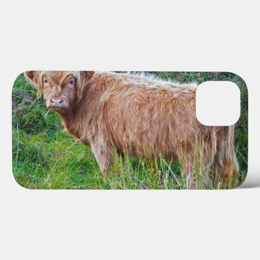Young Highland Cow iPad Case (Rückseite (Horizontal))
