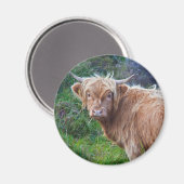 Young Highland Cow Magnet (Vorderseite/Rückseite)