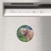 Young Highland Cow Magnet (In Situ (Geschirrspüler))