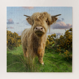 Young Highland Cow Puzzle