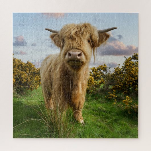 Young Highland Cow Puzzle (Vertikal)
