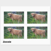 Young Highland Cow Sticker (Blatt)