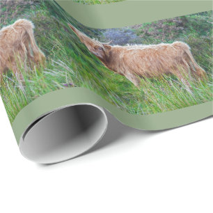 Young Highland Cow Wrapping Paper Geschenkpapier